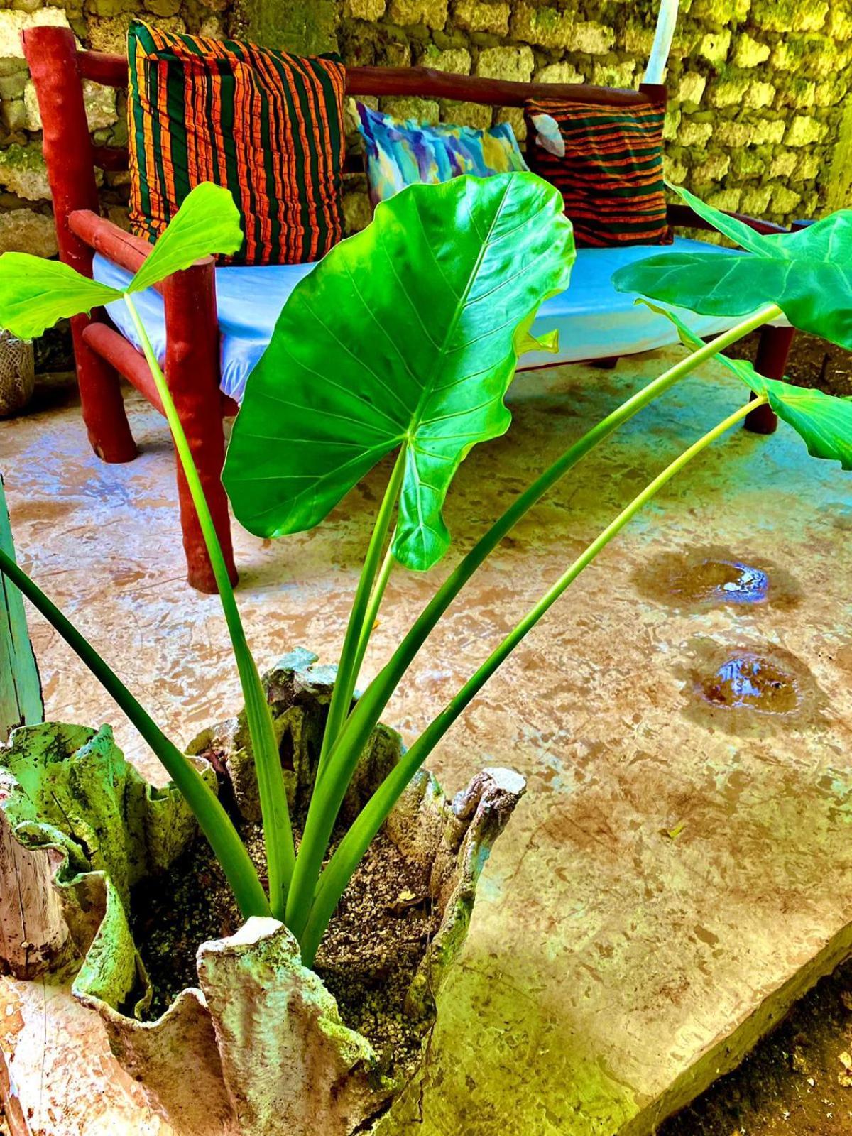 African Hut Tiny Cottage Diani Beach Bagian luar foto
