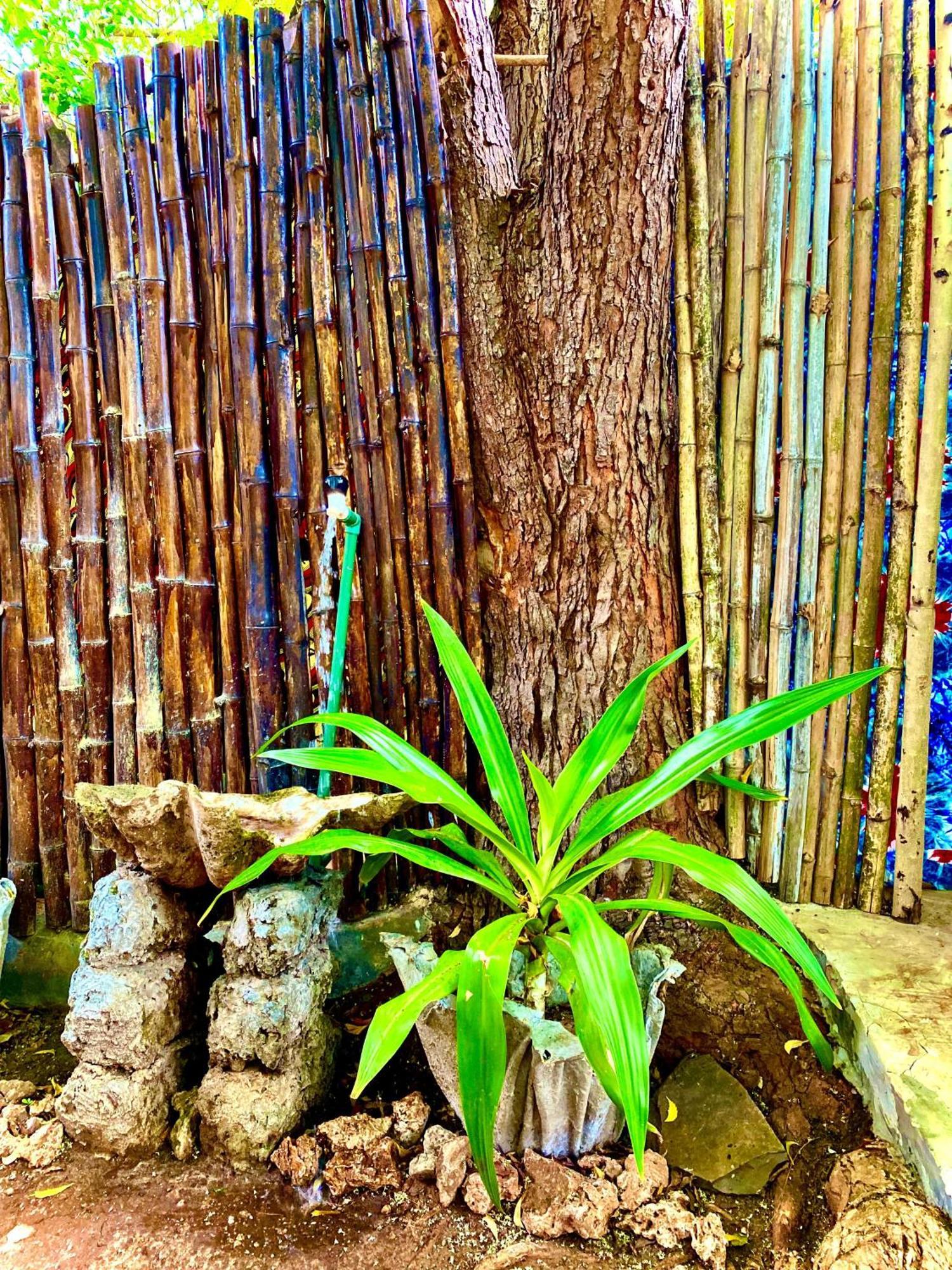 African Hut Tiny Cottage Diani Beach Bagian luar foto